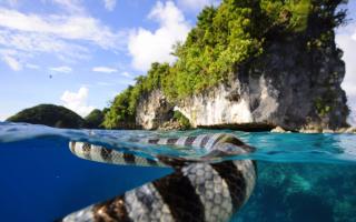 Applying for a visa to Palau What you need to know about Palau before traveling